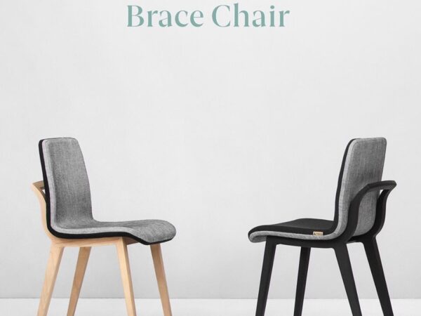 Brace